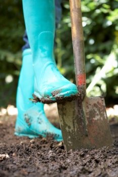 Person digging in garden