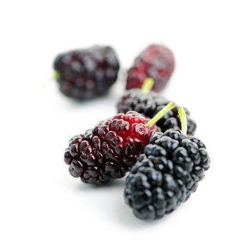 Few ripe mulberry berries close up on white background