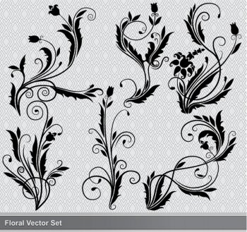 set of floral elements vector 