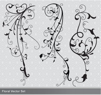 set of floral elements vector 