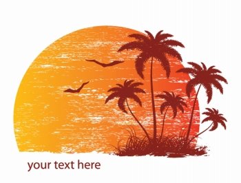 vector vintage summer background with palm trees and birds