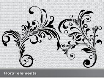 abstract floral elements set vector illustration