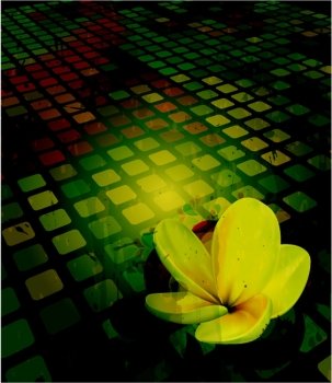 vector abstract grunge background with plumeria