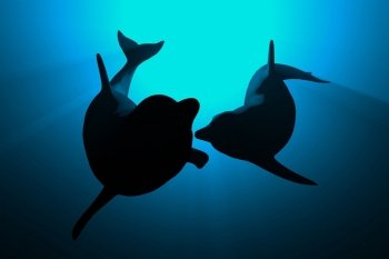 3d dolphins in blue light love concept