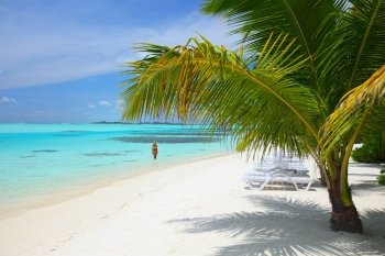tropical island palm sea and sky