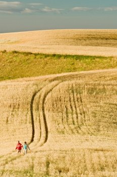 Couple Walking Through Wheat