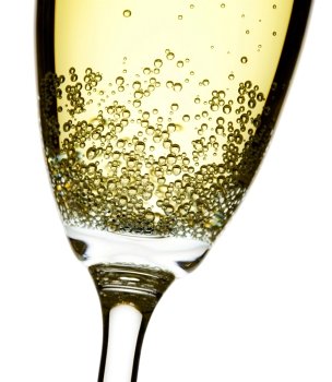close up studio shot of champagne flute, isolated over white, focus on bubbles