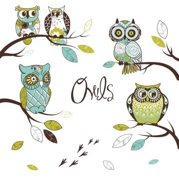 Collection of five different owls, sitting on the tree brunches