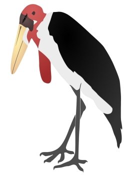 Vector illustration of a marabou