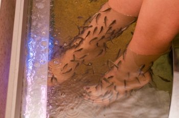 Fish spa pedicure wellness skin care treatment
