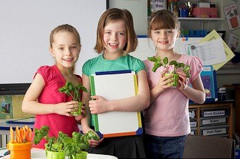 Girls learning about plants in school class