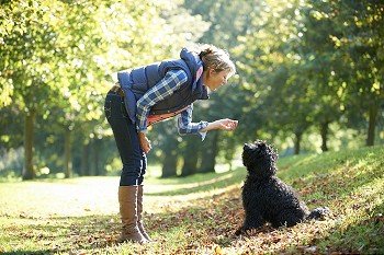 woman with black dog on a walk in the park