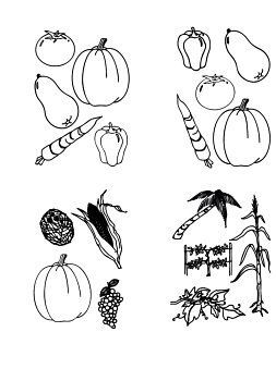 Collection of various vector vegetables in planimetric execution