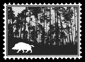 silhouette of the wild boar in wood on postage stamps, vector illustration