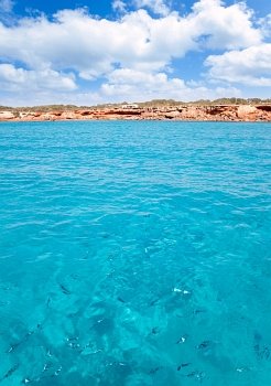 Cala Saona beach in formentera with fishes in clear turquoise water