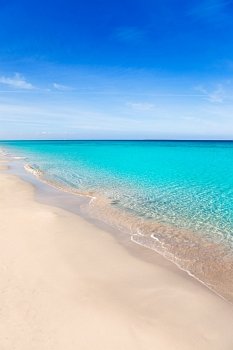 Formentera Llevant tanga beach with perfect turquoise water
