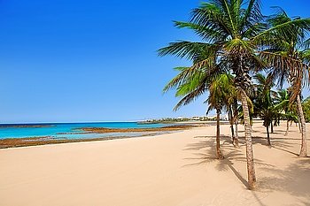 Arrecife Lanzarote Playa Reducto beach tropical palm trees at Canary Islands