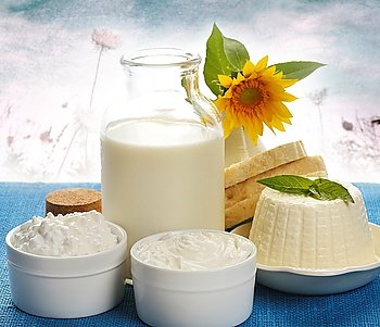 Dairy Products  On Nature Background