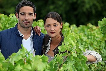 couple in the vines, they seem to be wine producers