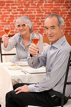 Elderly couple making a toast
