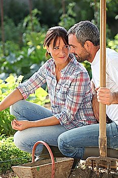 Romantic couple in an allotment