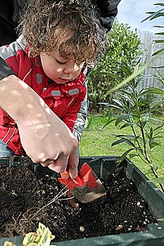 Boy planting seeds