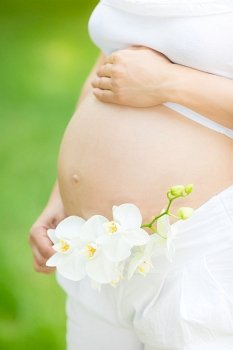 Pregnant woman holding hands and orchid flower on belly in spring