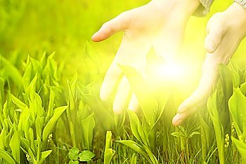 Human hands touching green grass. Beautiful shining betweet them.