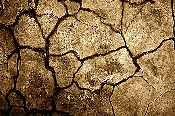 Dry cracked soil texture.