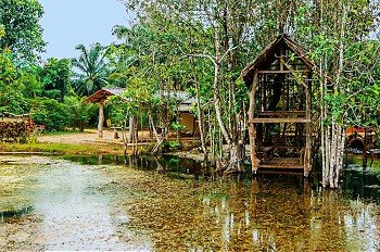 Old wooden house on the lake in the tropics