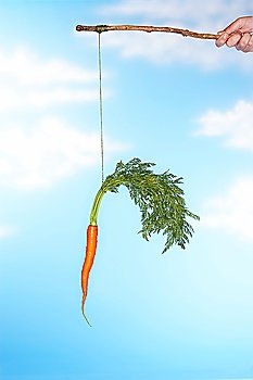 Person Dangling Carrot From Stick