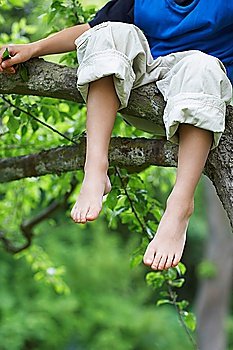 Feet Dangling From a Tree