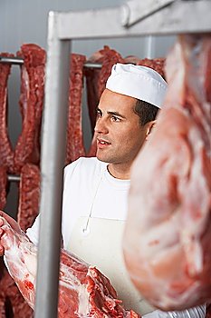 Butcher Working in Meat Locker