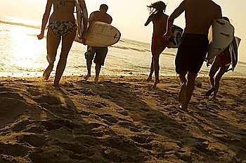 Group of Surfers Walking on Beach