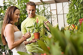 Couple Selecting Flowering Plant at Greenhouse
