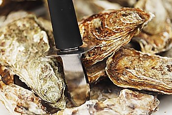 Oysters and knife