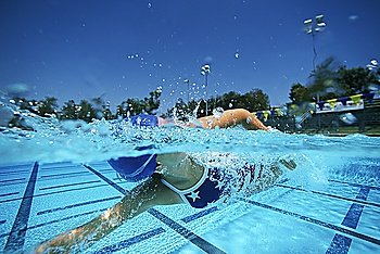Female swimmer in pool, surface view