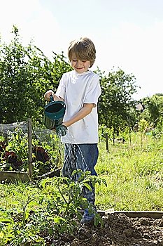 Boy watering plants in garden
