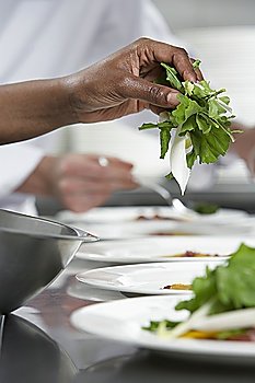 Chef preparing salad in kitchen, close-up