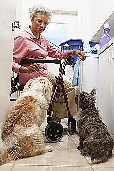 Senior woman doing laundry with dogs
