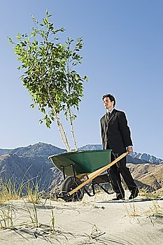 Businessman Pushing Wheelbarrow and Tree in the Desert