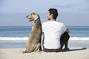 South Africa, Cape Town, Man and dog sitting beach