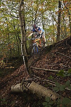 Mountain biker in woodland