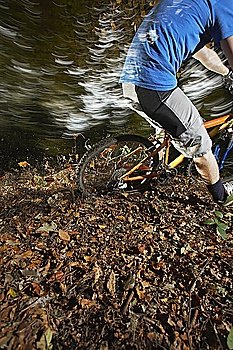 Mountain biker in woodland, low section