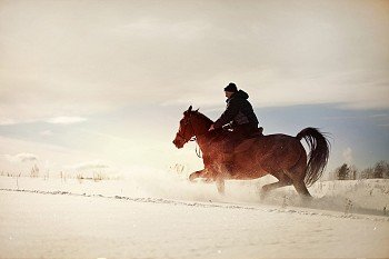 Cowboy In Snowy Winter Desert, the image on the background of the solar sky