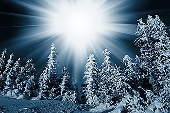 Christmas theme- frozen trees