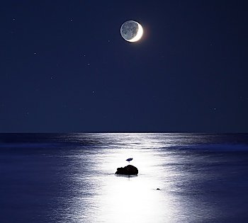 sea at moonlight