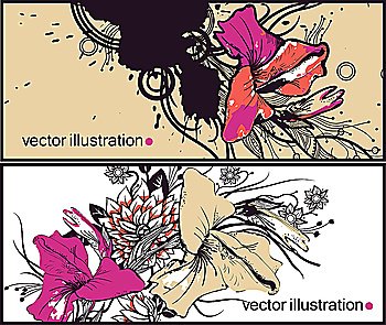 vector set of two floral cards with colorful gladioluses