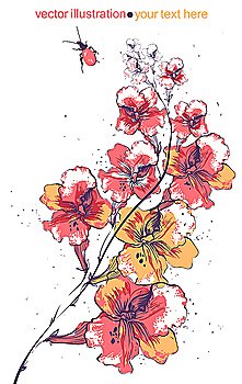 vector illustration of blooming flowers and a red beetle