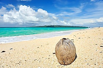 Coconut on beautiful wild beach at remote island, Philippines